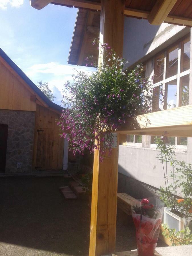 Latin Hotel Plaški Екстериор снимка