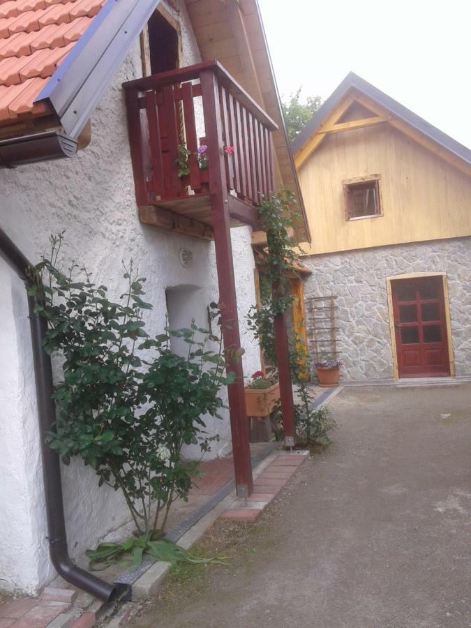 Latin Hotel Plaški Екстериор снимка